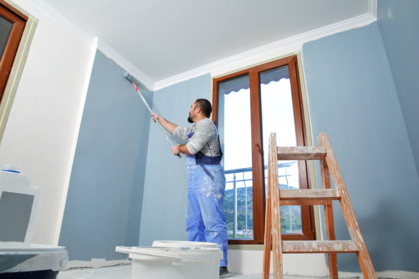 Best Repainting for Renovations  in Walworth, WI