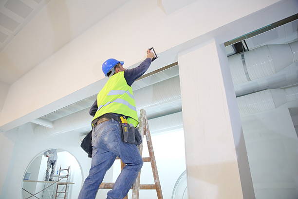 Best Drywall Sanding and Smoothing  in Walworth, WI